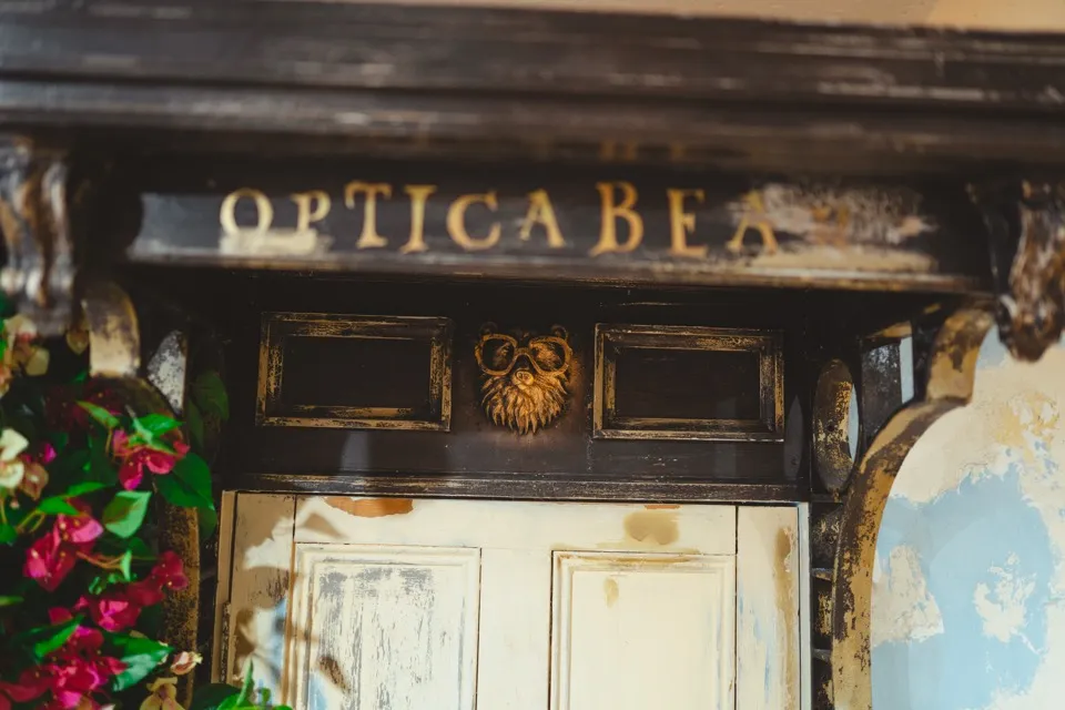 OPTICA BEAR（3）
