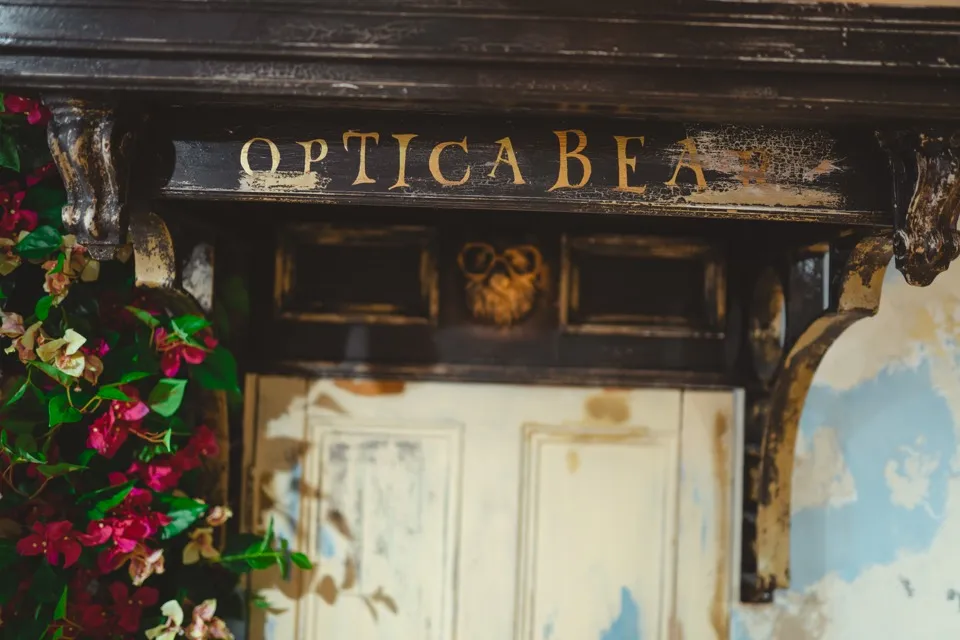 OPTICA BEAR（4）